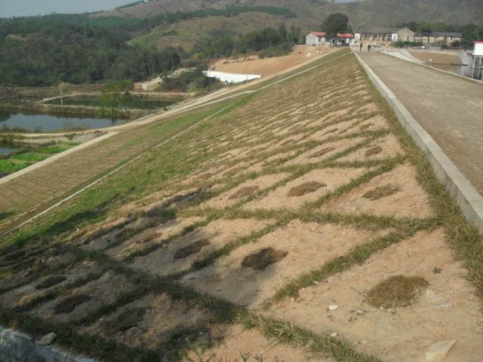 邓家河水库除险加固工程