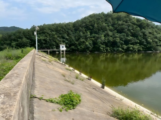 枣阳市三里岗等29座水库除险加固工程
